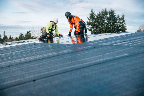 Reliable Metal Roofing contractor in Stephenson, WV by Roof Repair Smedway